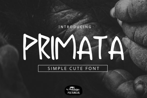 Primata Font: A Quirky Display Typeface for Memorable Branding