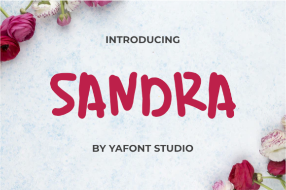 Sandra Display Font Review for Creative Branding Projects